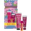 Burt's Bees You're One In A Melon Lip & Hand Cream Gift Set -JUSTMYLOOK Sales youre one in a melon lip hand cream gift set p30896 81941 image